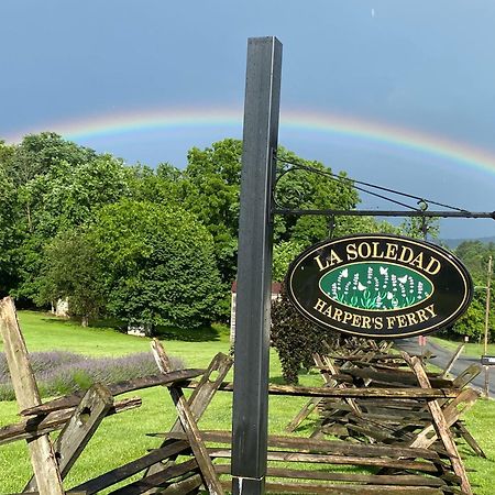La Soledad Lavender Farm And Guesthouse 하퍼스 페리 외부 사진