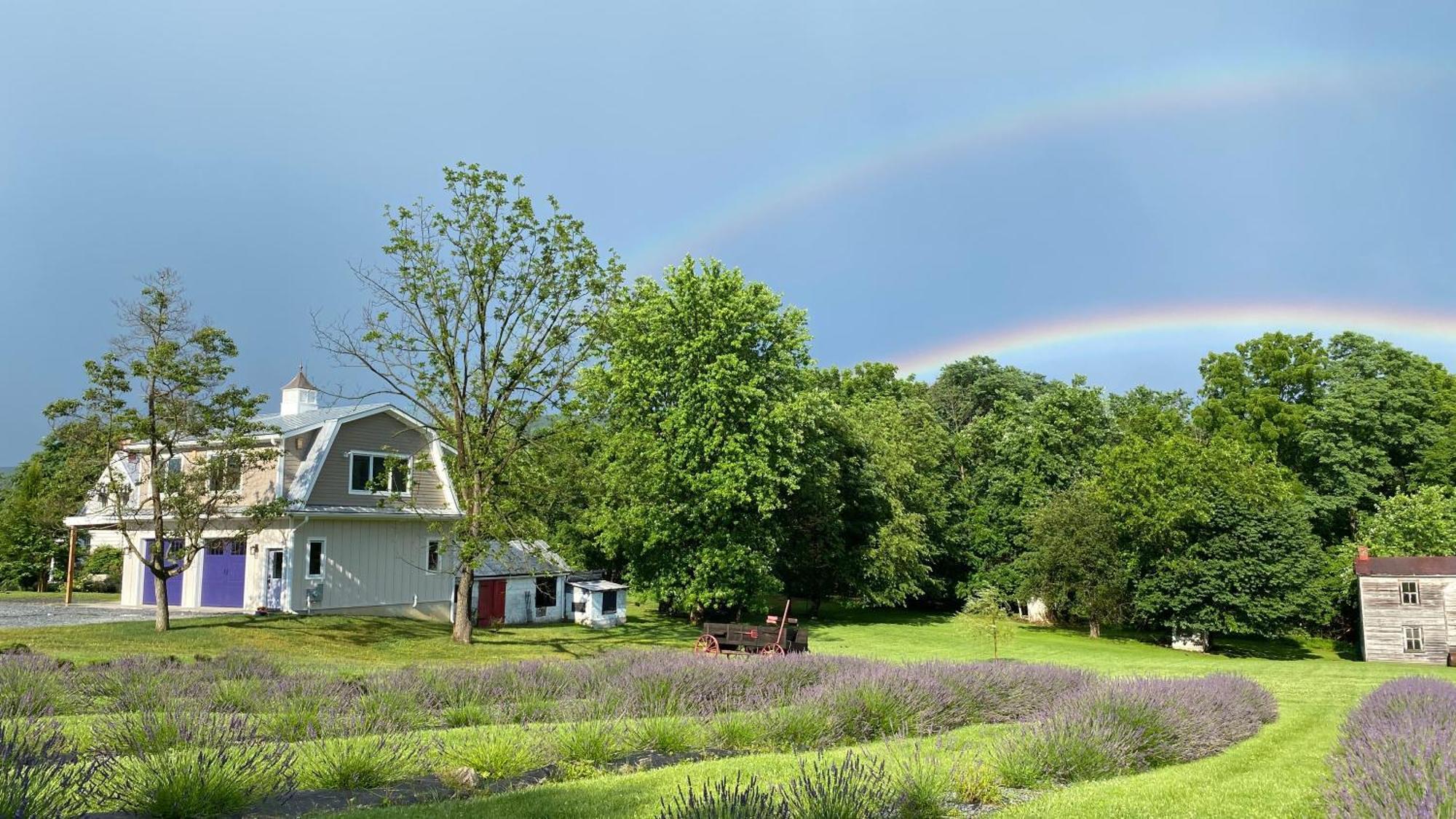 La Soledad Lavender Farm And Guesthouse 하퍼스 페리 외부 사진