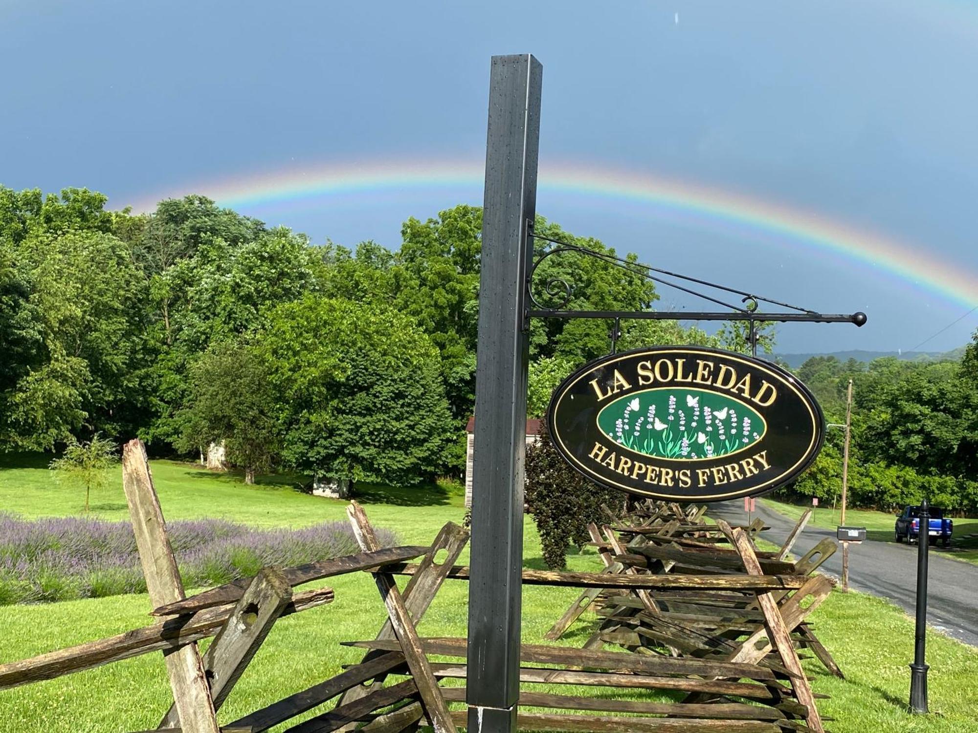 La Soledad Lavender Farm And Guesthouse 하퍼스 페리 외부 사진